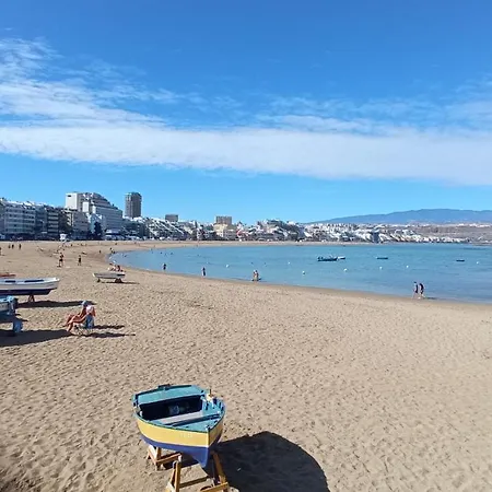 Apartment Sunshine, What Else? *