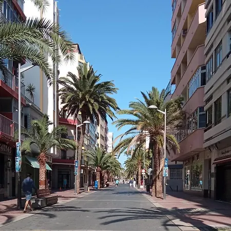 Apartment Sunshine, What Else?