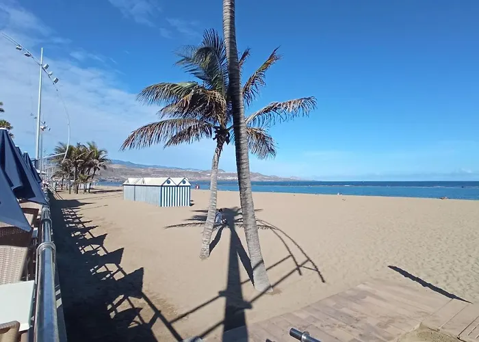 Sunshine, What Else? Апартаменты